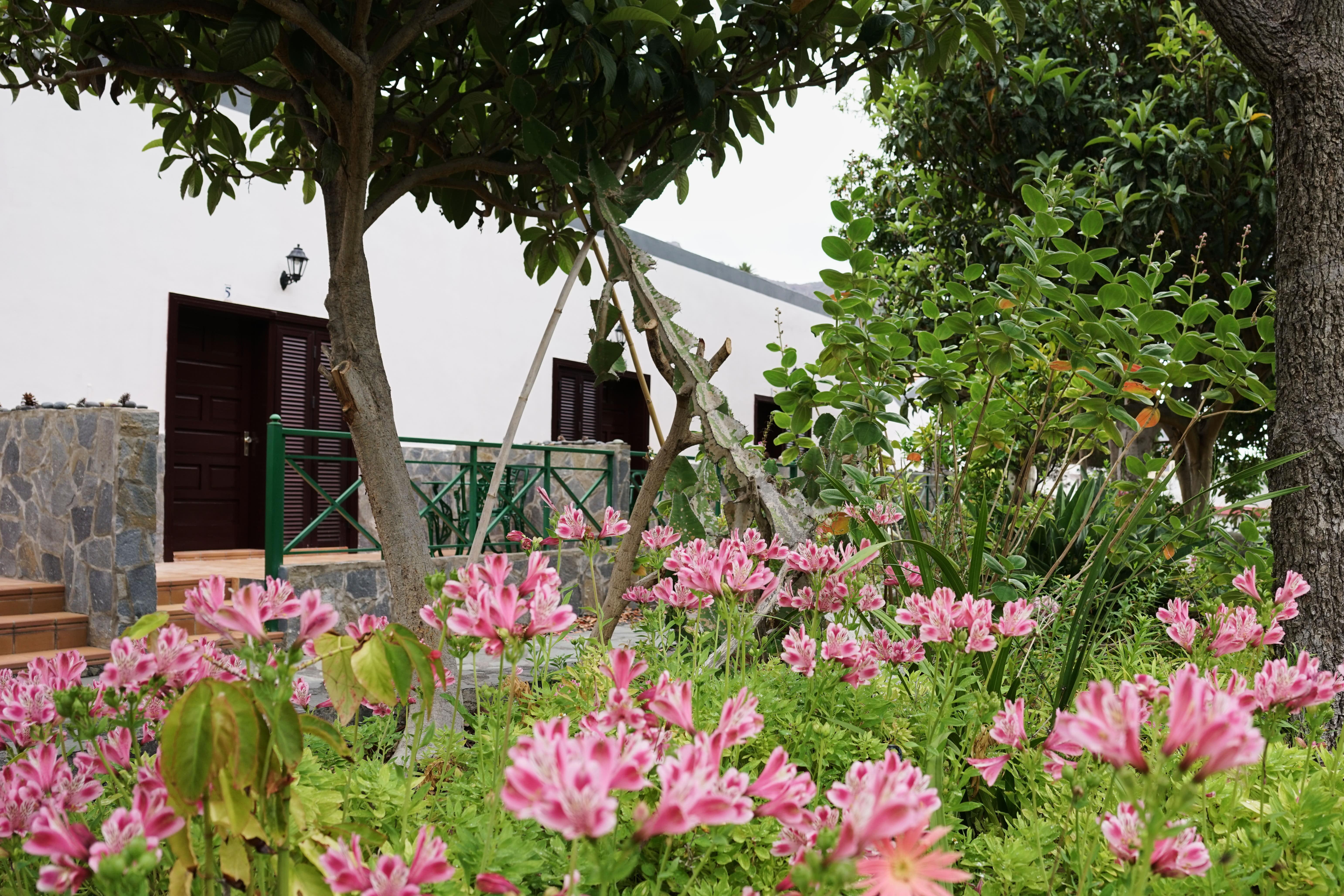 Finca Pinero Hermigua Exteriér fotografie