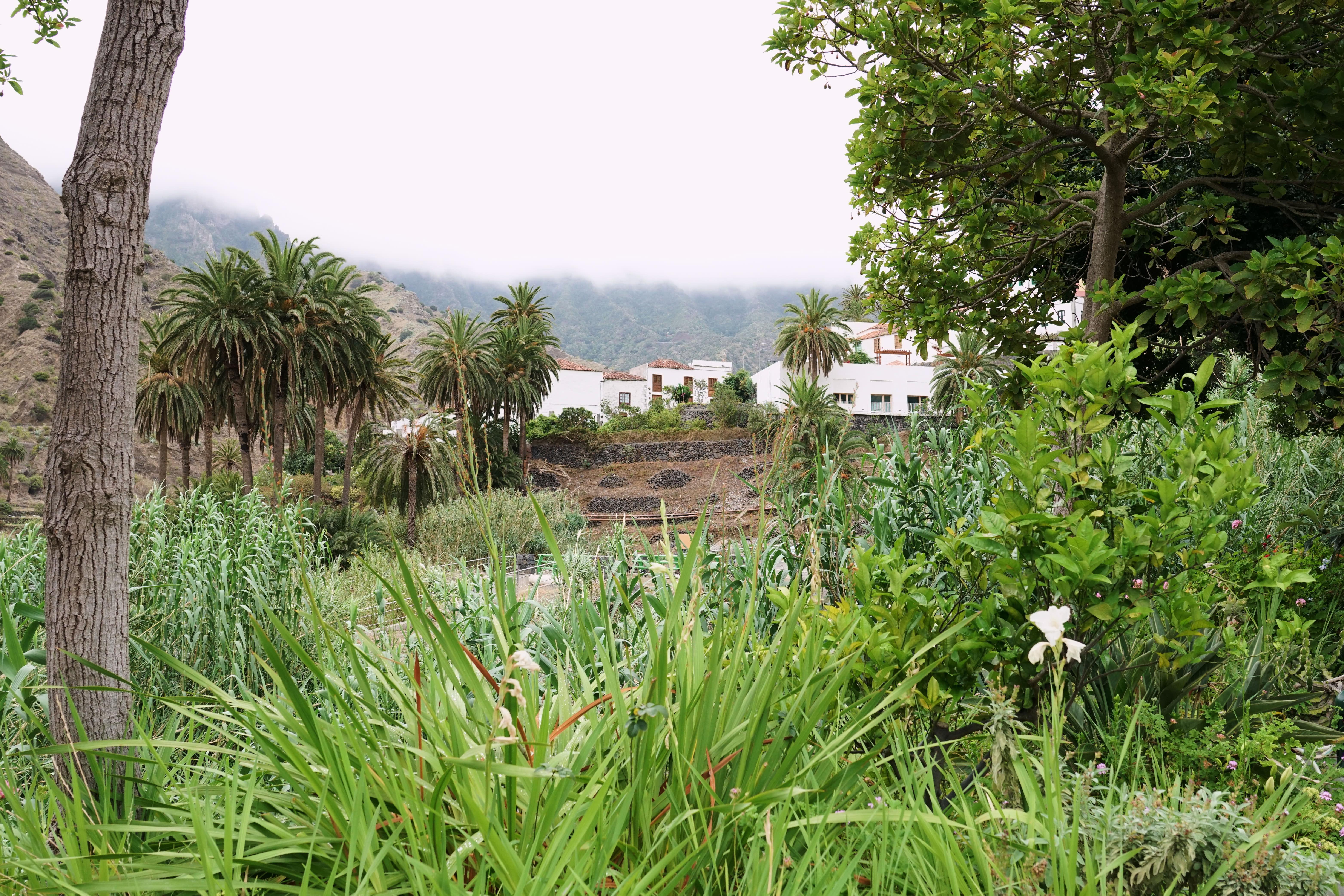 Finca Pinero Hermigua Exteriér fotografie