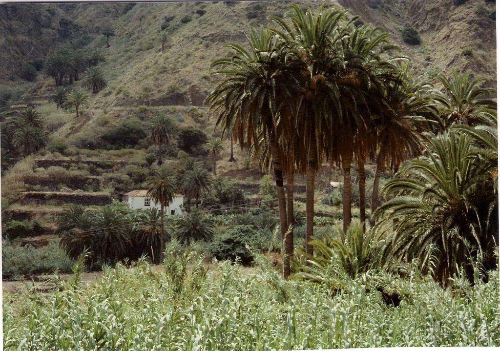 Finca Pinero Hermigua Exteriér fotografie